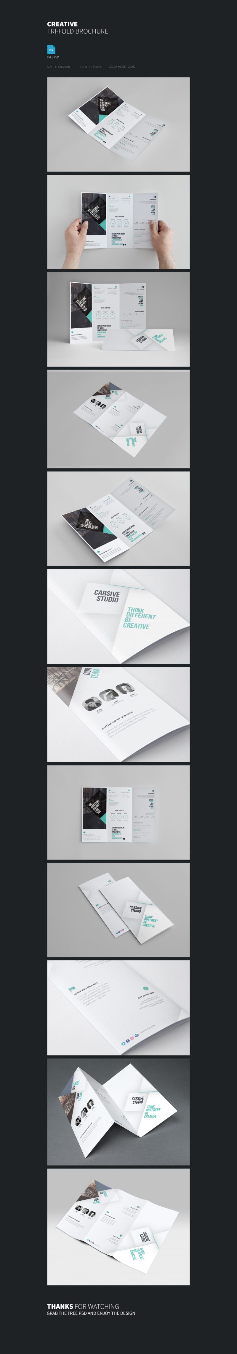 Creative Tri-fold Brochure Template Free PSD