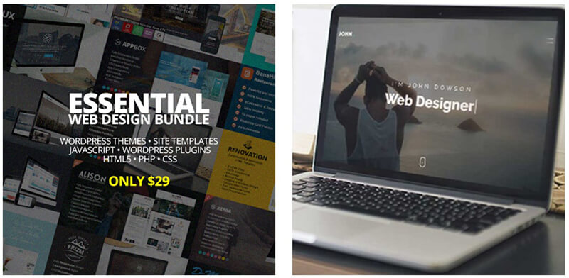 Essential Web Design Bundle