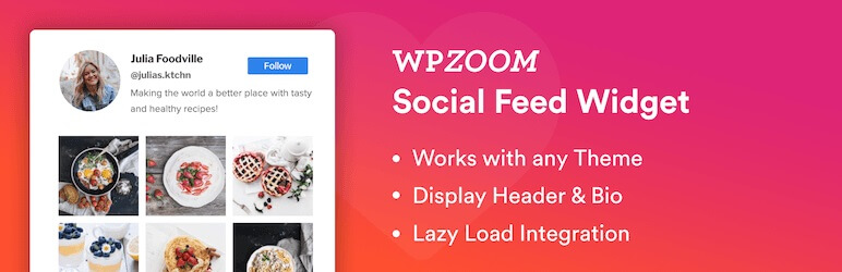 WPZOOM Social Feed Widget