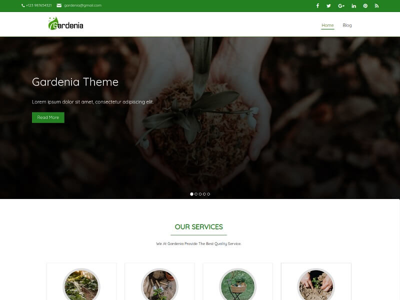 Gardenia WordPress Theme