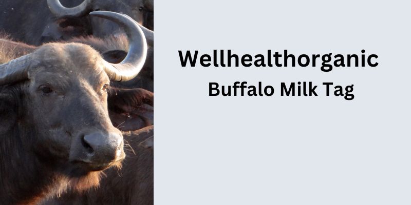 Wellhealthorganic Buffalo Milk Tag